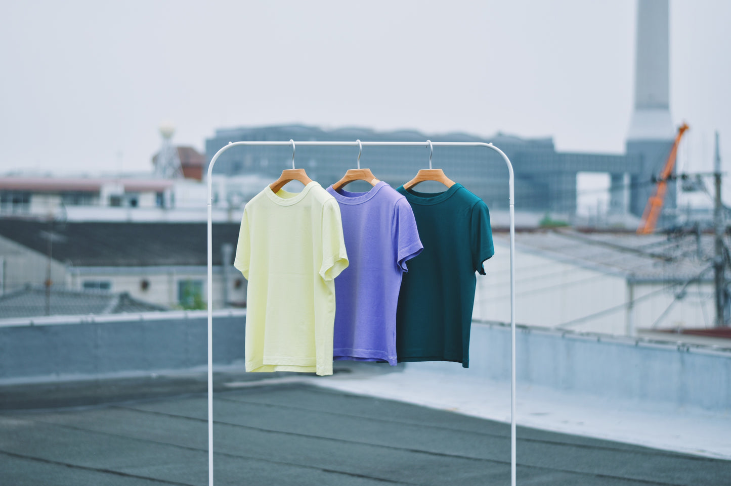 レディースTシャツ